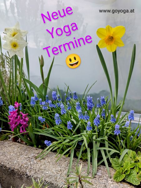 neue Kurse frühling 600
